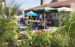38. Terras DOP 24 juli 2019
